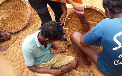 hahalaka
